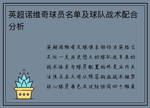 英超诺维奇球员名单及球队战术配合分析